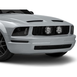 Grille Eleanor Mustang V6...